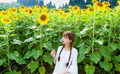 迈开腿吃尝尝你CH